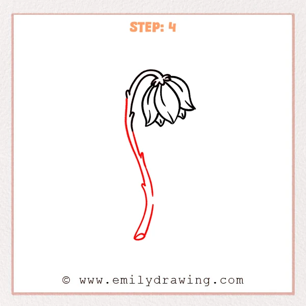 how to draw a dead flower - Step 4